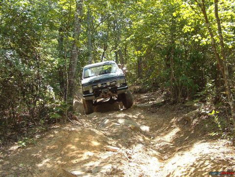 1988 Ford Bronco - An off-road vehicle navigates a challenging trail surrounded by dense forest foliage.