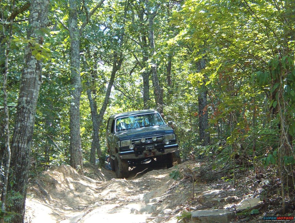 Dark SUV on a wooded trail, front grille visible, tires on dirt