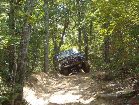 1988 Ford Bronco - This SUV navigates a challenging off-road course through a dense forest.