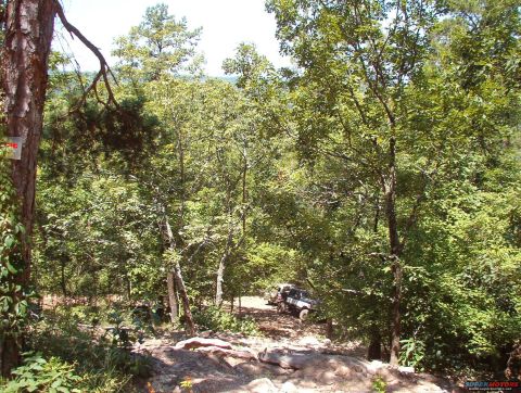 1988 Ford Bronco - A white 1980s Ford Bronco navigates a wooded off-road trail.