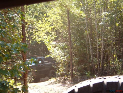 1988 Ford Bronco - Ford Bronco navigating a wooded trail.