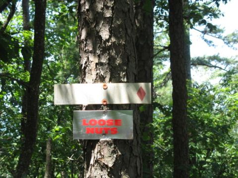 1988 Ford Bronco - Two signs are attached to a tree in a wooded area. The top sign is light-colored with a red diamond symbol. The bottom sign is metallic wit…