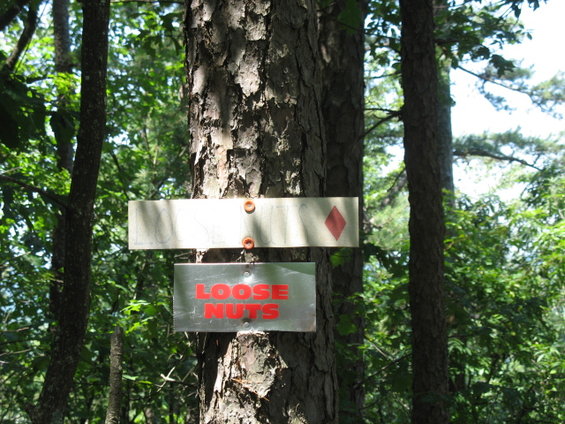 Two signs on a tree: one with a red diamond, the other reading "LOOSE NUTS".