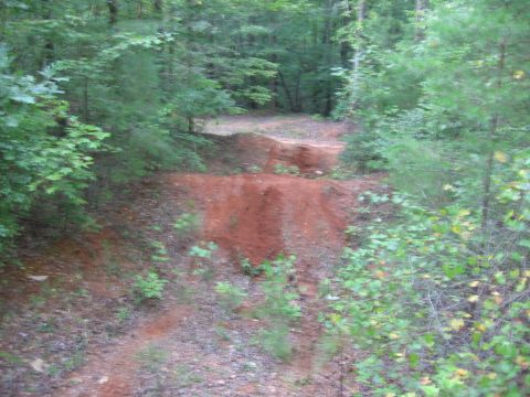 1988 Ford Bronco - A dirt path winds through a dense forest with red dirt mounds visible on the side of the path.