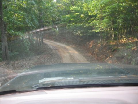 1988 Ford Bronco - View from inside a vehicle looking out at a dirt road winding through a dense forest. The vehicle's hood and windshield wipers are visible…