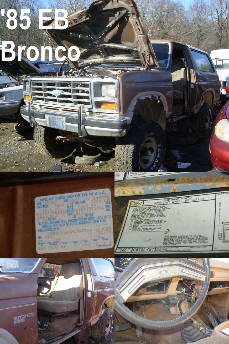 '85 EB Bronco
