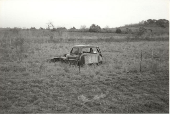1967 Ford F-100 pickup truck, 3q-front view, partially submerged in tall grass