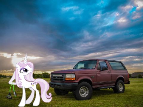 1994 Ford Bronco - 1994 Ford Bronco in a field with a cartoon unicorn. The sky is cloudy.