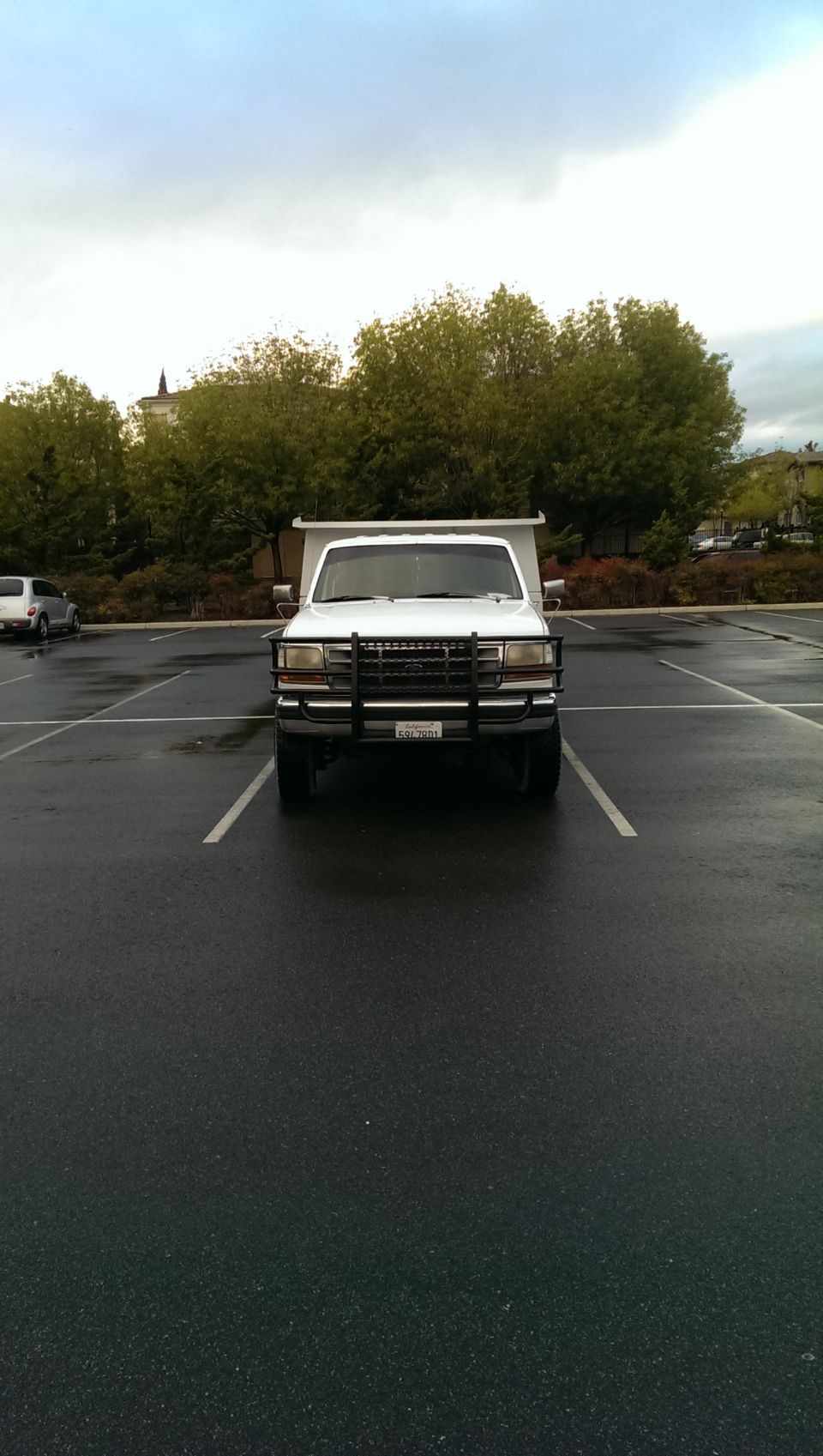 White Ford pickup truck with black grille guard and dump bed in a wet parking lot.