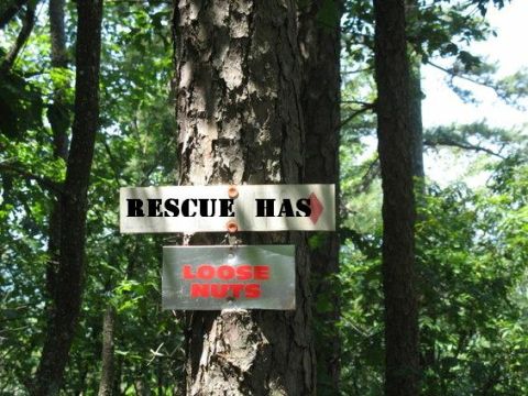1988 Ford Bronco - Two signs are attached to a tree in a wooded area. The top sign reads "RESCUE HAS" with a red arrow pointing to the right. The bottom sign…