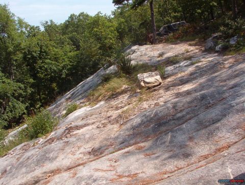 1988 Ford Bronco - A tan Ford Bronco navigates a rocky terrain, surrounded by lush green trees under a bright sky.