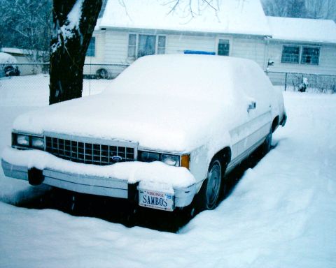 1986 Ford LTD Crown Victoria photo