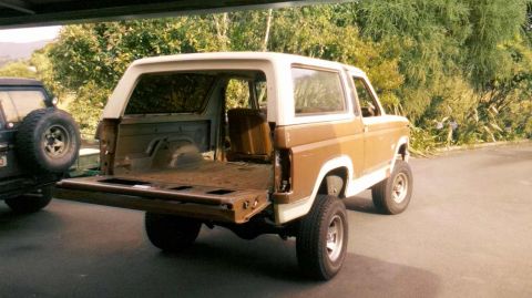 1982 Ford Bronco - This 1982 Ford Bronco is shown from the rear with its tailgate open, revealing the cargo area.