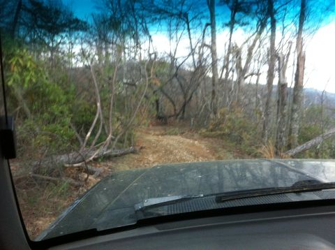 1988 Ford Bronco - View from inside a vehicle driving on a dirt road through a wooded area.