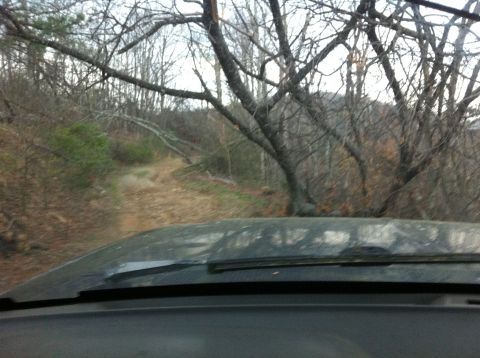 1988 Ford Bronco - View from inside a vehicle as it travels on a dirt road through a wooded area.