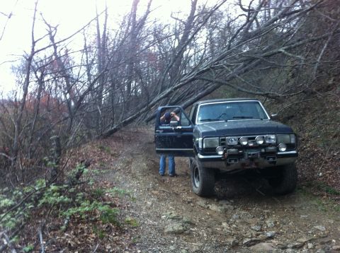 1988 Ford Bronco - A person is in the driver's seat of a Ford Bronco on a dirt road with a fallen tree blocking the path.