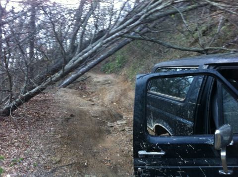 1988 Ford Bronco - A black SUV navigates a muddy, debris-strewn path under fallen trees.
