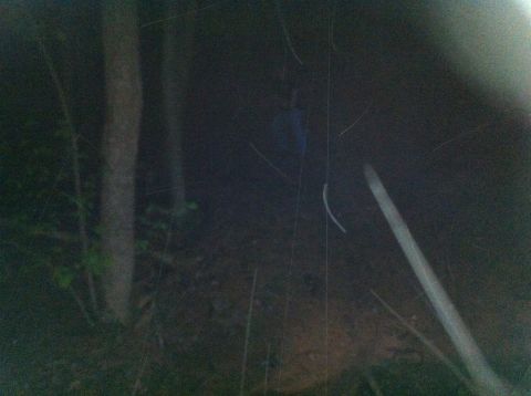 1988 Ford Bronco - Dark scene with trees and an indistinct blue object, possibly a tarp or clothing.