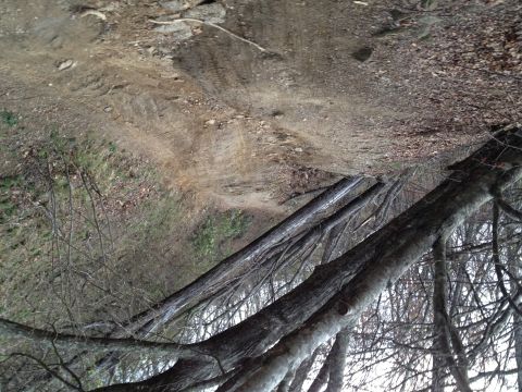 1988 Ford Bronco - A dirt road winds through a wooded area, with tire tracks visible on the path. The Supermotors.net logo is in the lower right corner.