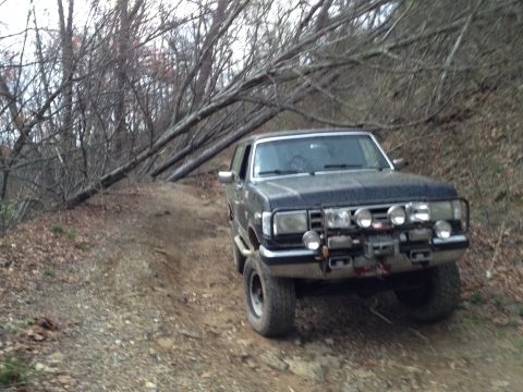 1988 Ford Bronco - Ford Bronco navigates a rough dirt road surrounded by dense woods and fallen trees.
