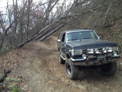 1988 Ford Bronco - A dark Ford Bronco navigates a rough dirt path under a canopy of fallen branches.