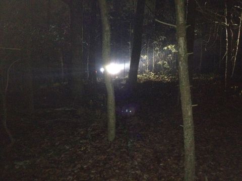 1988 Ford Bronco - Headlights illuminate a forest path at night, with trees obscuring the vehicle.