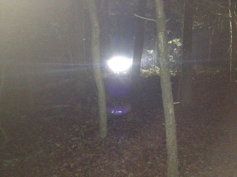 1988 Ford Bronco - A vehicle's lights illuminate a dark forest scene, with trees and fallen leaves visible.