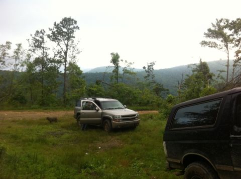 1988 Ford Bronco - Two SUVs are parked in a clearing with a wooded, mountainous landscape behind them.