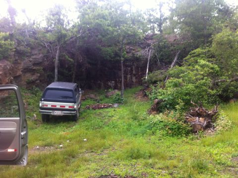 1988 Ford Bronco - A dark SUV with distinctive rear bumper reflectors is parked in a secluded, overgrown area.