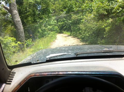 1988 Ford Bronco - Driving down a narrow dirt path surrounded by dense green foliage.
