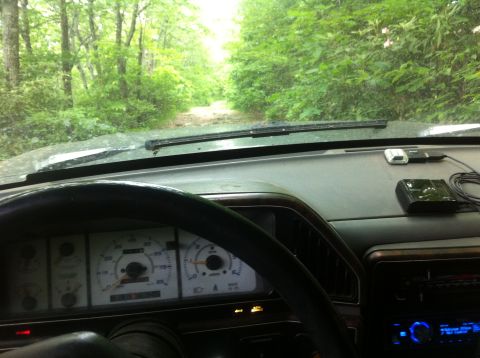 1988 Ford Bronco - Interior view of a 1988 Ford Bronco as it navigates a dirt road through a wooded area.