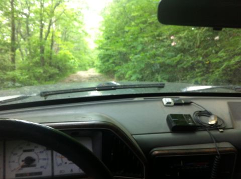 1988 Ford Bronco - Driving a 1988 Ford Bronco down a wooded dirt road.