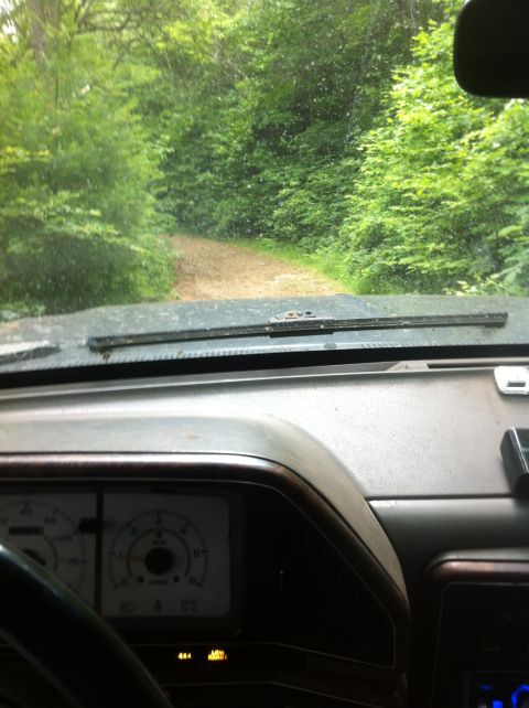 1988 Ford Bronco - Driving down a dirt road through a dense forest, seen from the interior of the vehicle.