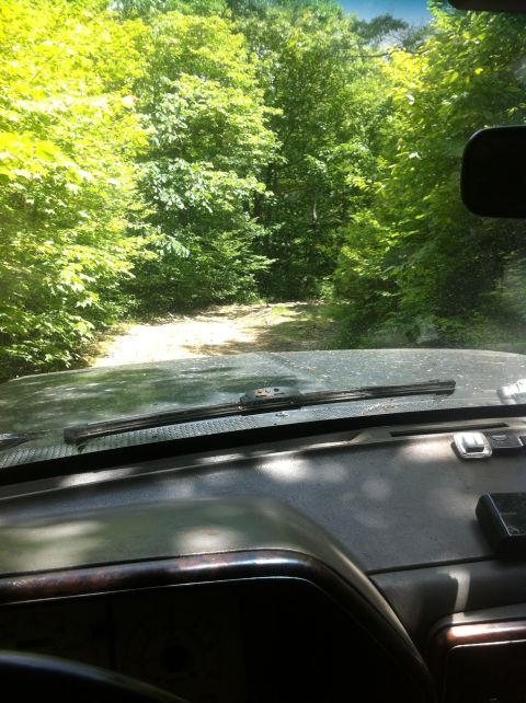 1988 Ford Bronco - Driving down a dirt road surrounded by dense green trees.