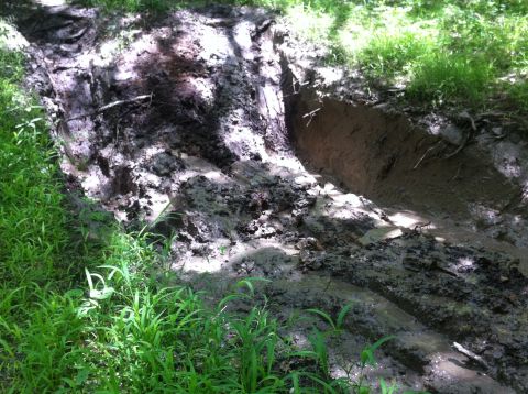 1988 Ford Bronco - A muddy track shows evidence of off-road vehicle use in a natural setting.