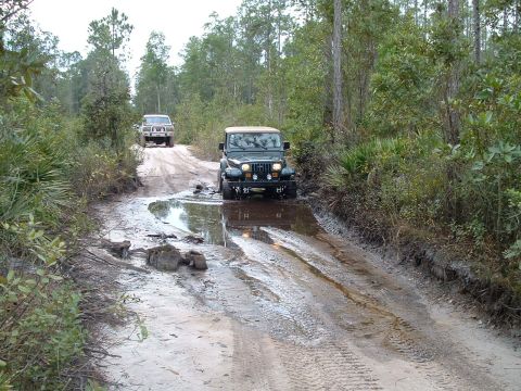 1995 Ford Bronco - Two off-road vehicles navigate a wet and muddy path through a dense forest.