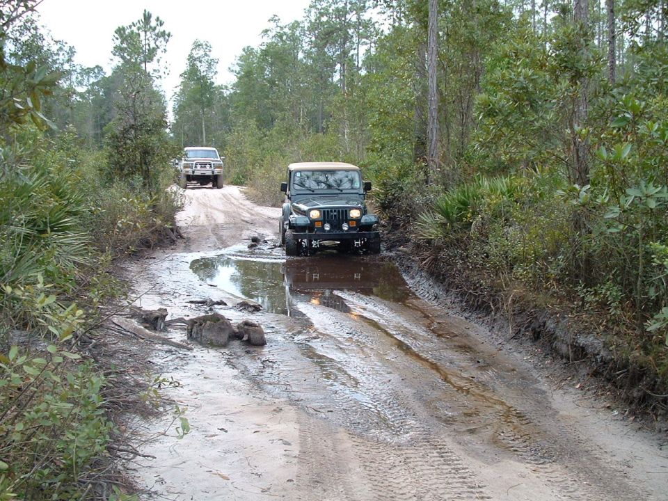 Jeep Wrangler and pickup truck driving on a muddy, wooded trail with puddles