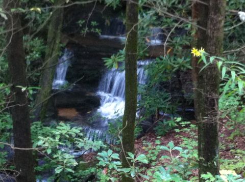 1988 Ford Bronco - A tranquil waterfall flows through a lush forest, surrounded by trees and greenery.