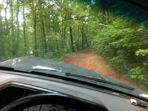 1988 Ford Bronco - Driving down a wooded dirt road.