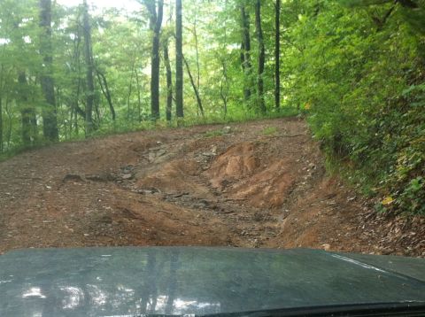 1988 Ford Bronco - View from inside a vehicle driving on a challenging, wooded off-road path.