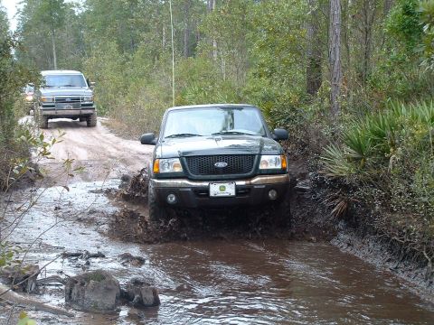 1995 Ford Bronco - Two trucks navigate a muddy off-road path with dense foliage on either side.
