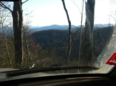 1988 Ford Bronco - Looking out from inside a vehicle at a wooded mountain landscape under a clear sky.
