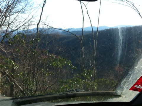1988 Ford Bronco - View from inside a vehicle looking out at a vast forest and mountain range under a bright sky.