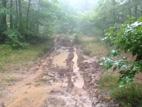 1988 Ford Bronco - A muddy road winds through a forest on a foggy day.