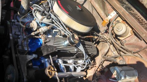 1982 Ford Bronco - Close-up of a Ford V8 engine, identified by "Bronco" and "Ford" valve covers.