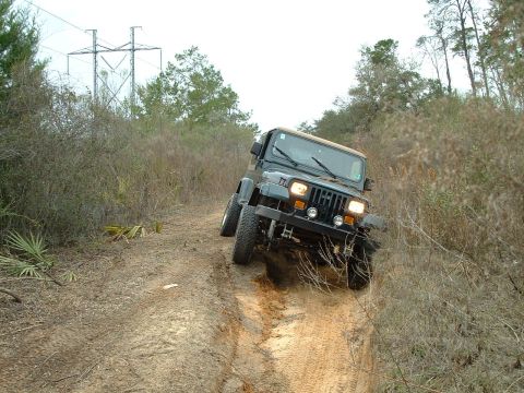 1995 Ford Bronco - Jeep Wrangler navigates a challenging off-road trail with dense vegetation and power lines overhead.
