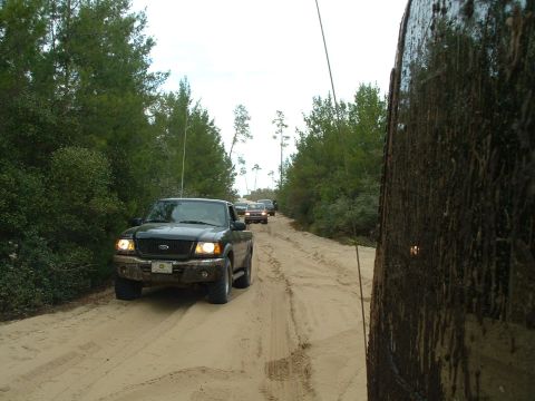 1995 Ford Bronco - A convoy of trucks navigates a sandy track through a wooded area, with the lead vehicle being a dark green Ford Ranger.