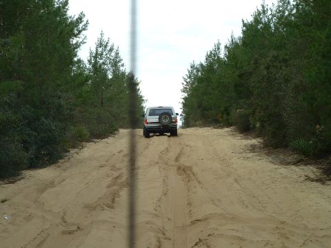 1995 Ford Bronco - SUV driving on a sandy road through trees, seen from behind.