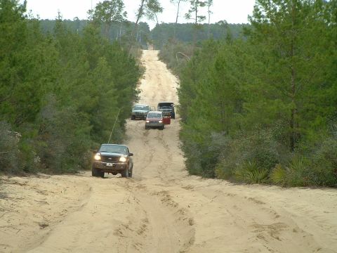 1995 Ford Bronco - A group of vehicles navigates a sandy trail through a wooded area.