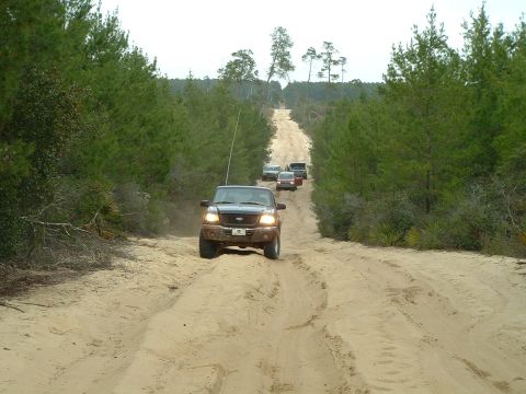 1995 Ford Bronco - A convoy of trucks navigates a sandy path through a pine forest.
